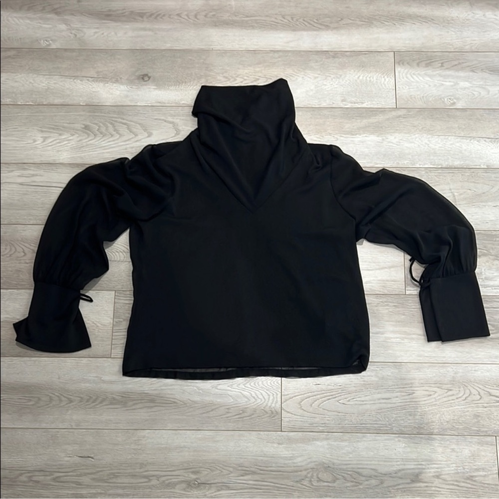 Zara Black Turtleneck Blouse! Super cute and flattering! Worn once only